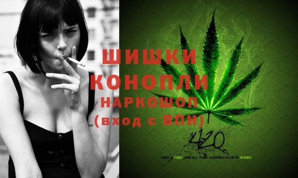 стаф Новокубанск