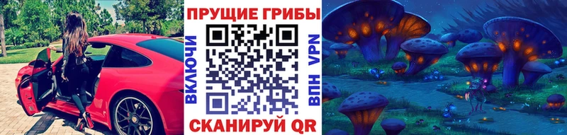 Галлюциногенные грибы Psilocybine cubensis  Южа 